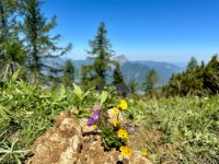 ein Bild aus dem Album